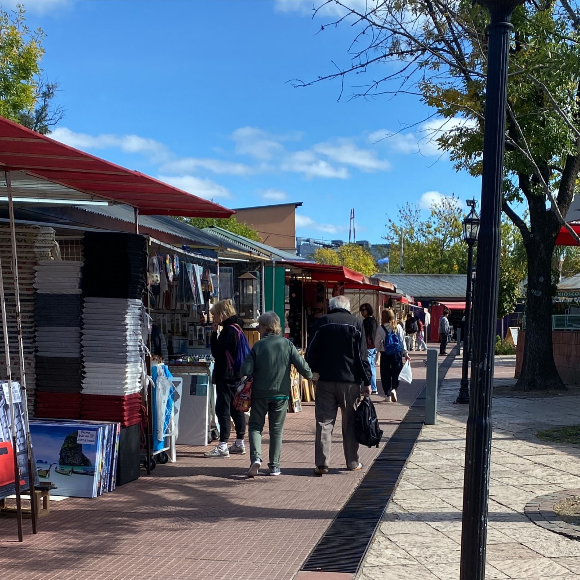 Tigre – Domingo 3/08 - Imagen 5